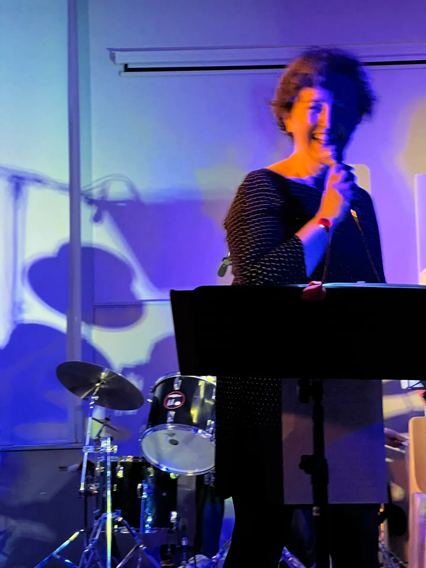 Opal Jam Trio 2026 sur scène concert Chant Delphine Lesur